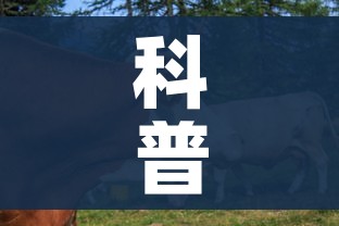 科普一下“微信牛牛群房卡”房卡使用教程