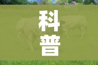 科普一下“微信牛牛群房卡”房卡使用教程