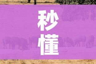 秒懂百科“斗牛房卡牛牛房卡”详细房卡使用教程