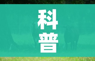 科普一下“微信牛牛群斗牛群”房卡获取方式